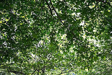 《瞬变：加长版》12月发售 追加一个全新结局