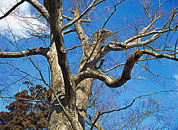 类魂《枯瑟信仰：放逐者》3.10发售 新预告发布